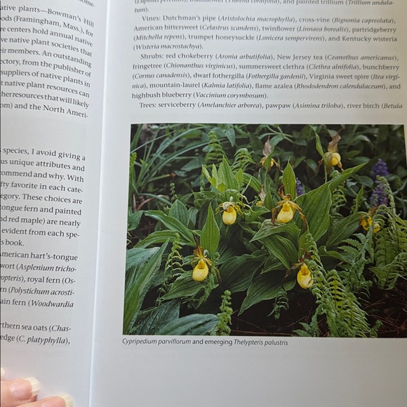 Native Plants of the Northeast hardcover Book - Picture 5 of 6